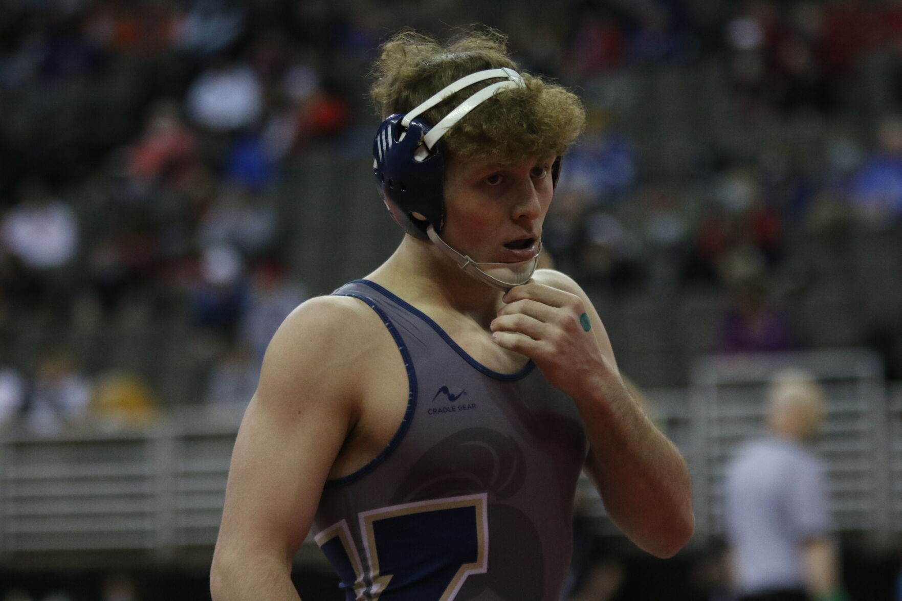State wrestling -- York31.JPG